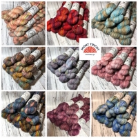 Spincycle Dyed in The Wool skein