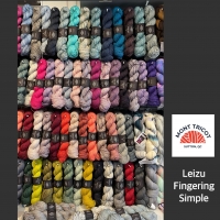 Julie Asselin Leizu Fingering Simple Skein