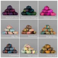 Spincycle Dyed in The Wool skein